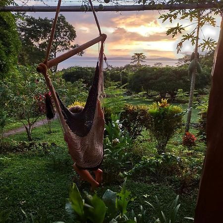 Finca Mystica Mérida エクステリア 写真