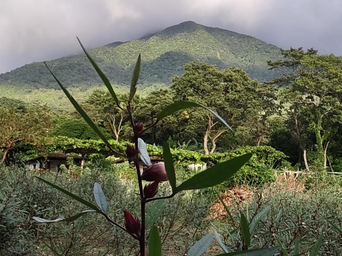 Finca Mystica Mérida エクステリア 写真