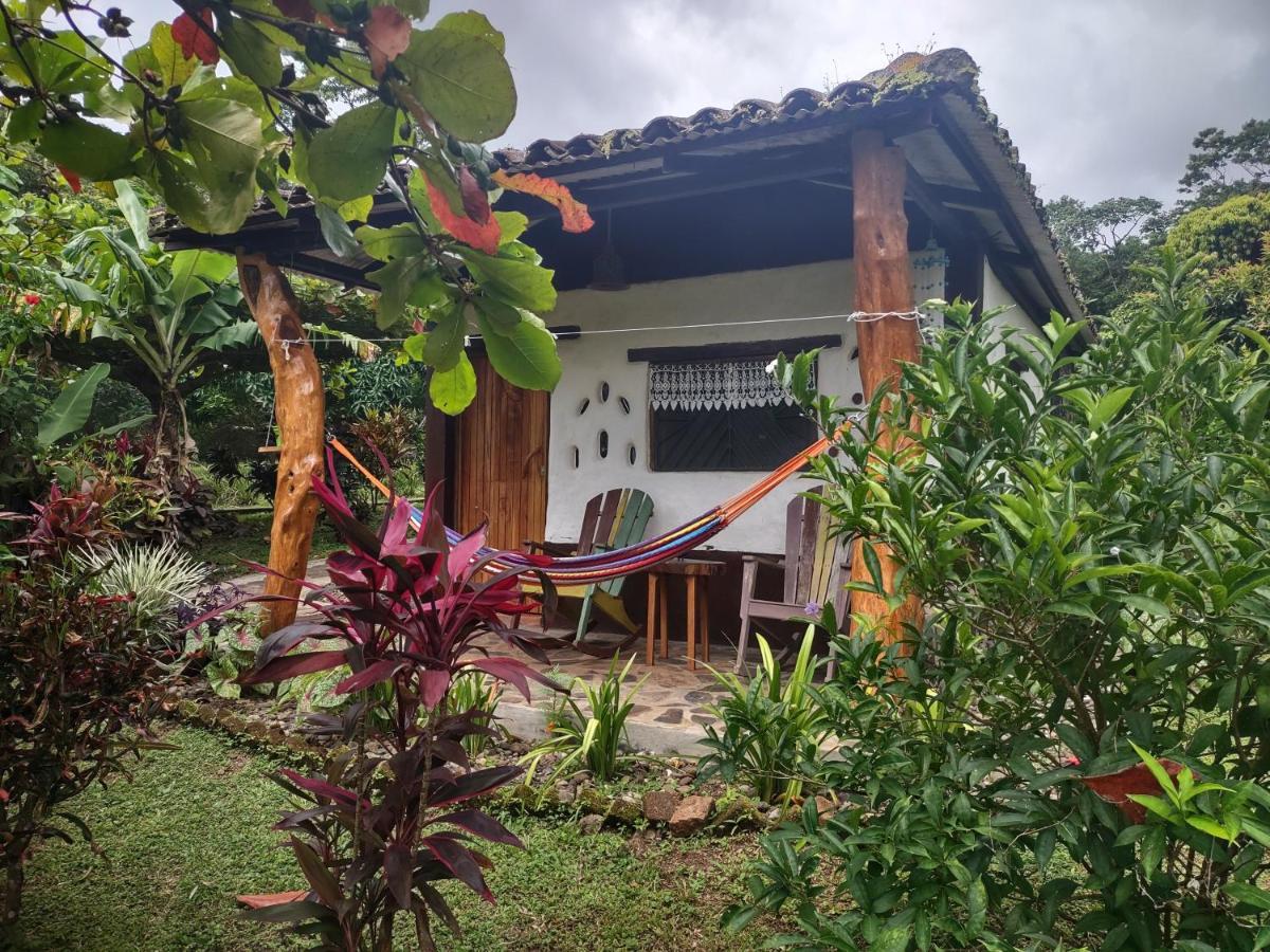 Finca Mystica Mérida エクステリア 写真