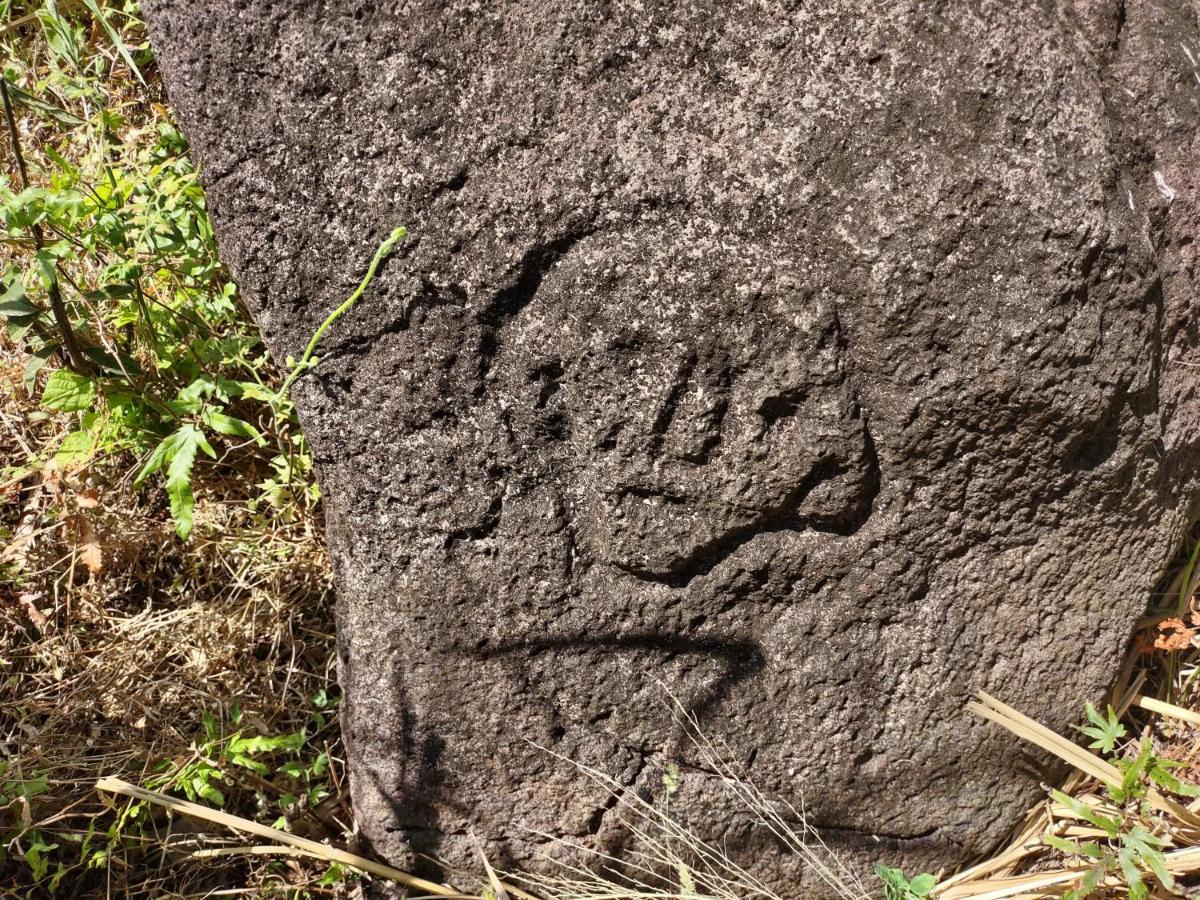 Finca Mystica Mérida エクステリア 写真