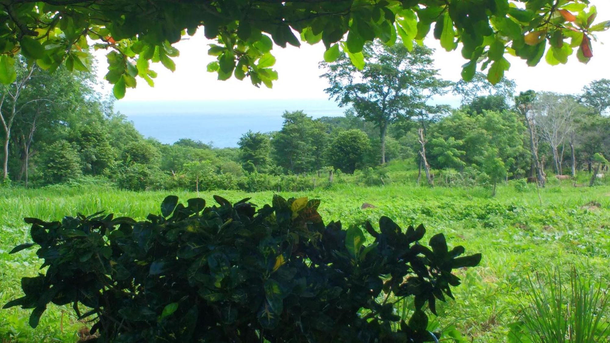Finca Mystica Mérida 部屋 写真