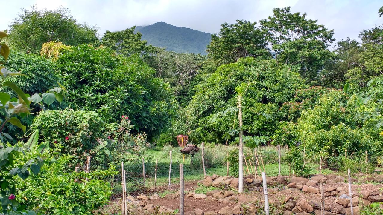 Finca Mystica Mérida エクステリア 写真