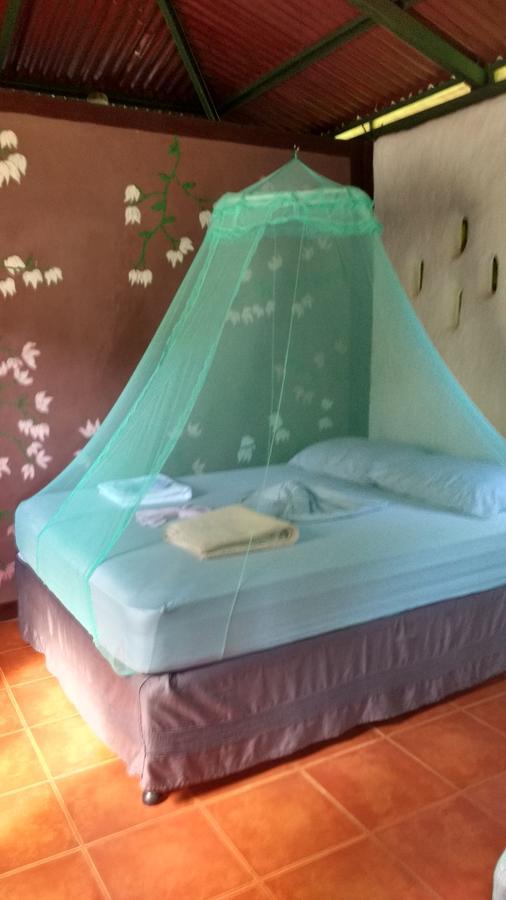 Finca Mystica Mérida エクステリア 写真