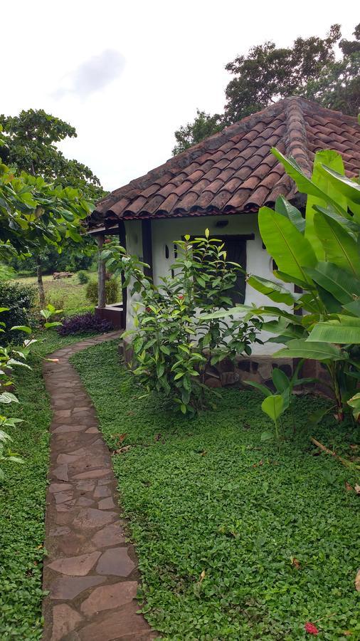 Finca Mystica Mérida エクステリア 写真