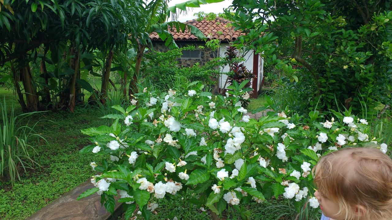 Finca Mystica Mérida エクステリア 写真
