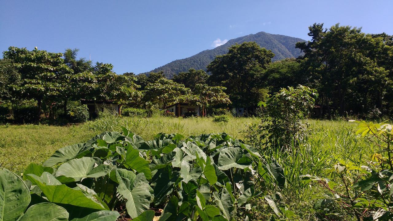Finca Mystica Mérida エクステリア 写真