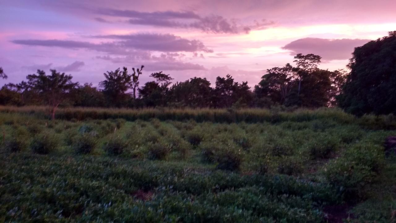 Finca Mystica Mérida エクステリア 写真